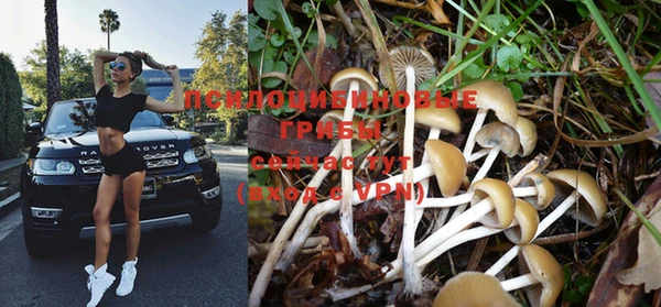 прущая мука Алзамай