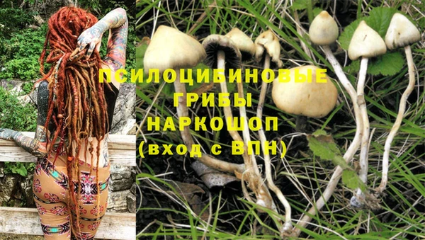 винт Алексин
